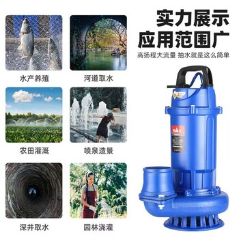 潛水泵220v家用農用高揚程大流量魚塘農田灌溉多用途抽水水泵