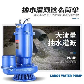 家用220V全銅潛水泵灌溉抽水泵大流量抽水泵家用抽水泵