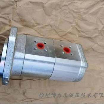 ABG423攤鋪機(jī)配件雙聯(lián)齒輪泵0-510665330