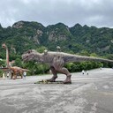 寧德仿真恐龍出租恐龍租賃恐龍出售恐龍出租業(yè)務(wù)全國接單