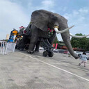 機械大象出租巡游大象租賃機械大象出售旅游節(jié)巡游花車