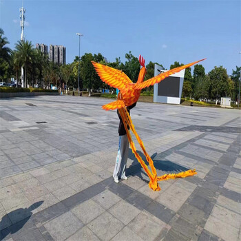 網紅飛天鳳凰出租出售飛行表演包教會全國均可以