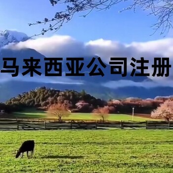香港倉儲提貨派送
