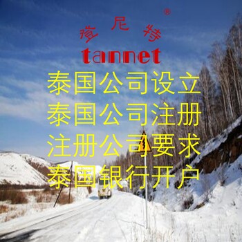 注冊泰國公司注冊資金應(yīng)該是多少