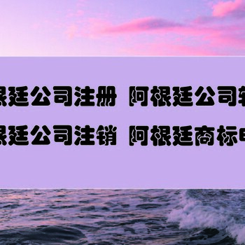 办理阿根廷建筑公司注销要提交什么资料？