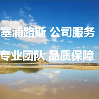 办理塞浦路斯公司税务需要准备什么？