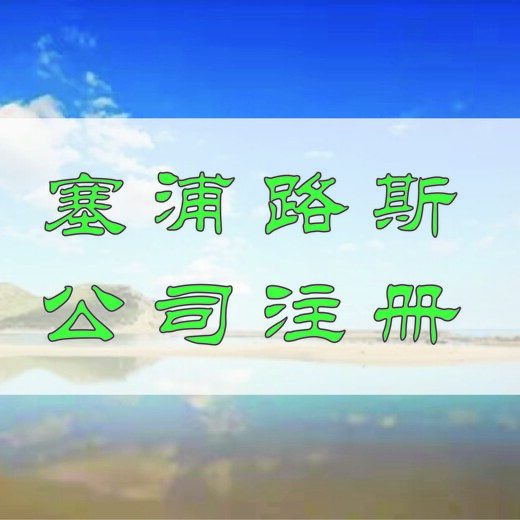 塞浦路斯公司注销办理流程