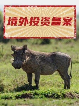 法國公司注冊的所需資料及基本要求有哪些？