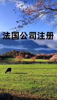 法國公司注冊的所需資料及基本要求有哪些？