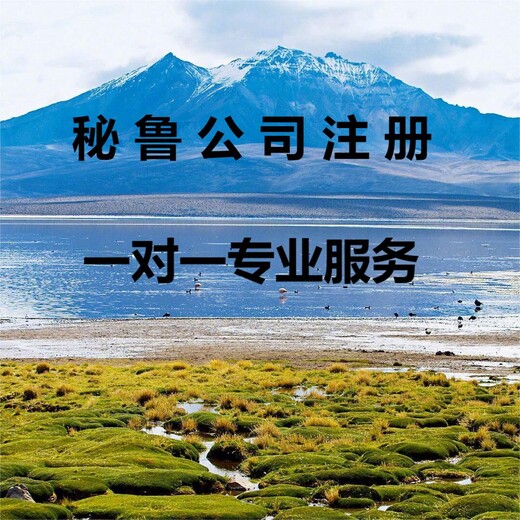 秘鲁公司注册条件