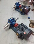 大连尼龙钢齿泵废机油回收泵批发现货供应YHCB80-80YHCB80-60