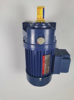 廈門東歷電機(jī)PL28-1500-20S3-J8S2減速機(jī)臺灣東力電機(jī)馬達(dá)