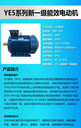 GB18613-2020能耗YE5250M-4-90KW臥式異步電動(dòng)機(jī)