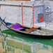 水城贡多拉游船欧式手工制作贡多拉休闲观光船