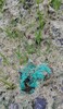 新疆沙漠植物種植基質改良土壤粘合劑