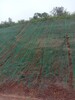廣西邊坡生態防護工程噴播土壤增活有機基質