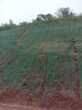 拉萨边坡植被防护客土喷播绿化技术工程土壤粘合剂图片