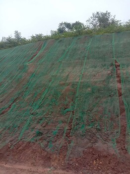 泸州矿山河湖生态防护边坡绿化有机基材