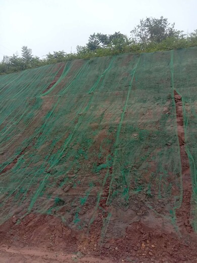 濟南綠化土壤改良噴播基質進口生態(tài)基材批發(fā)