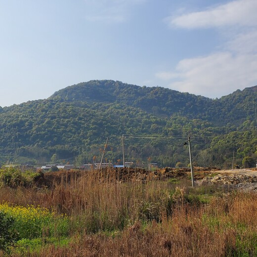 银川路腾彩光绿化边坡修复喷播基质土壤粘合剂