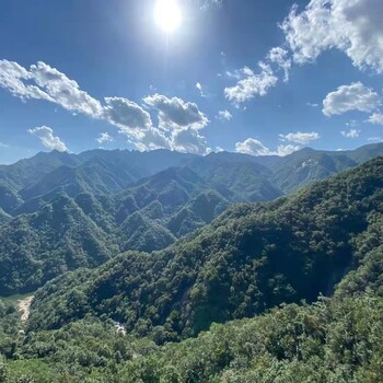 南通礦山邊坡植被噴播基質(zhì)土壤粘合劑銷售