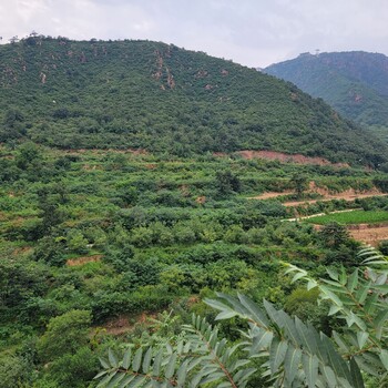 江蘇礦山邊坡生態(tài)修復(fù)土壤團(tuán)粒結(jié)構(gòu)改良固化劑
