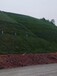 鄂尔多斯矿山边坡生态修复工程喷播绿化基材销售