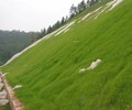 渭南礦山生態恢復工程邊坡綠化土壤粘合劑