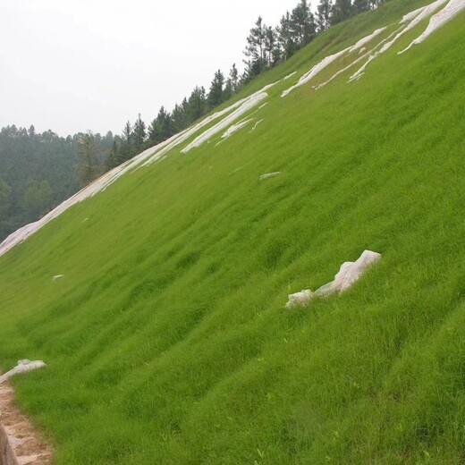 温州山体边坡植被恢复工程喷播绿化基质材料销售