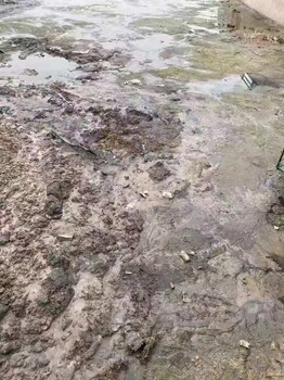 合肥水環(huán)境綜合治理工程淤泥改良固化劑