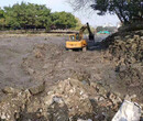 貴州河道水生態修復工程底泥團粒改良劑圖片