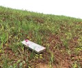 福州高分子鉀鹽型花卉植物基質土壤保水劑