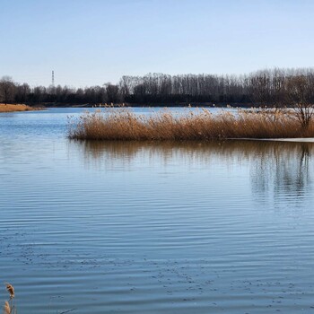 四川河湖蓝藻水体中性无机矿物净化剂