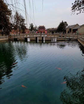 常州黑臭水體生態(tài)治理河道底質(zhì)團粒改良劑