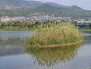 广州河道河床底质重构工程底泥团粒改良剂销售
