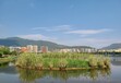 重庆河道边坡生态护岸工程喷播绿化基质基材销售