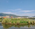 淮安城市水生態治理工程河道底泥修復劑