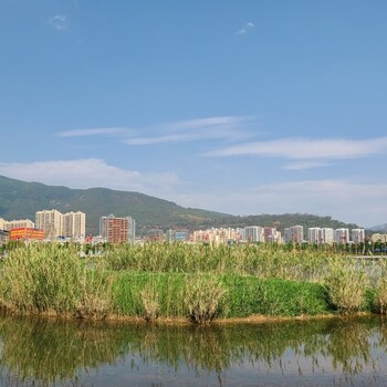 徐州水生态修复工程河道原位底泥矿物处理剂