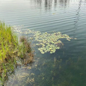 河南水生態(tài)修復(fù)工程河道底泥團(tuán)粒改良劑銷售