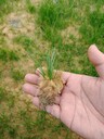 喀什沙漠土壤生態(tài)基質改良防風固沙土壤膠粉銷售
