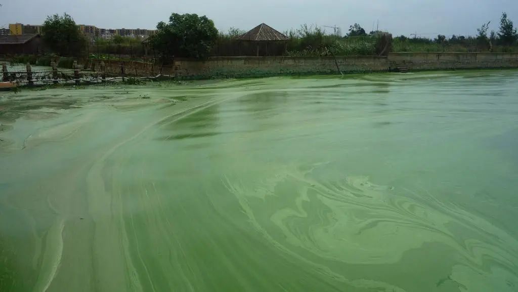 四川河湖水生态修复工程中性无机矿物水体净化剂