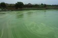 扬州水生态修复工程技术原位底泥团粒改良剂