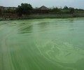 苏州水生态修复工程中性无机矿物磁混凝净化剂