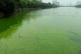 成都黑臭绿藻水体治理技术中性无机矿物水体净化剂