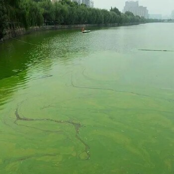 商丘黑臭水體凈化非金屬無機(jī)復(fù)合礦物絮凝劑