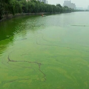 亳州河湖水生态修复技术底泥团粒结构改良剂销售