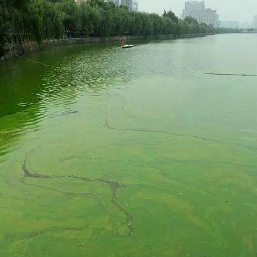 杭州河湖湿地水生态底泥原位修复技术底质团粒改良剂