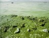 长沙黑臭绿藻水体中性无机矿物水体净化剂批发