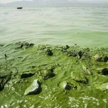 亳州河湖水生态修复技术底泥团粒结构改良剂销售