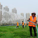 上海杨浦草坪草皮养护费用绿化铺设施工